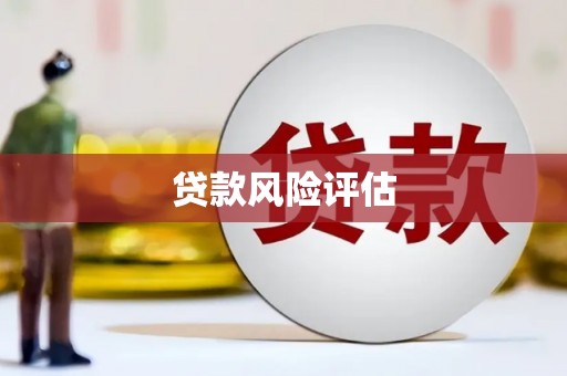 塔什库尔干塔吉克贷款风险评估