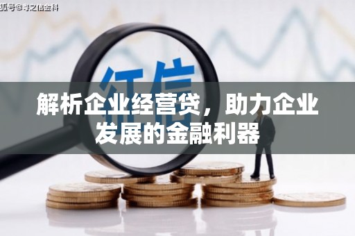 塔什库尔干塔吉克解析企业经营贷，助力企业发展的金融利器