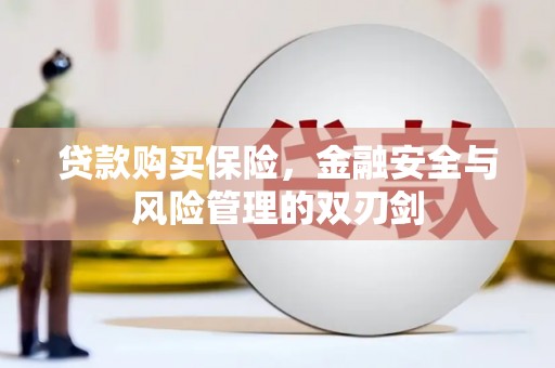 塔什库尔干塔吉克贷款购买保险，金融安全与风险管理的双刃剑