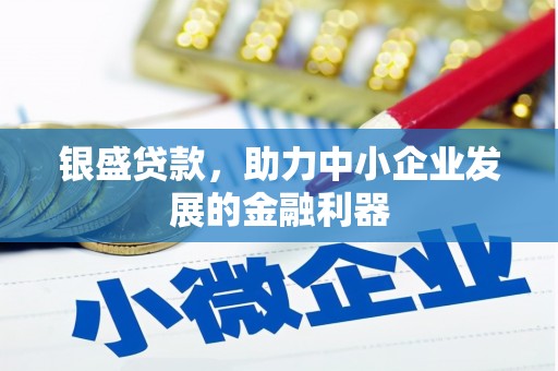 塔什库尔干塔吉克银盛贷款，助力中小企业发展的金融利器