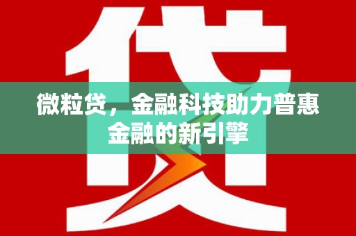 塔什库尔干塔吉克微粒贷，金融科技助力普惠金融的新引擎