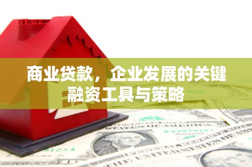 塔什库尔干塔吉克商业贷款，企业发展的关键融资工具与策略
