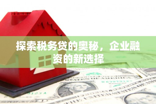 塔什库尔干塔吉克探索税务贷的奥秘，企业融资的新选择