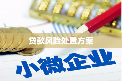 塔什库尔干塔吉克贷款风险处置方案