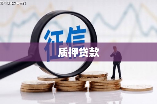 塔什库尔干塔吉克质押贷款