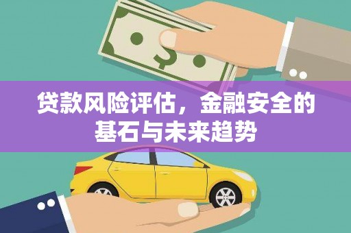 塔什库尔干塔吉克贷款风险评估，金融安全的基石与未来趋势