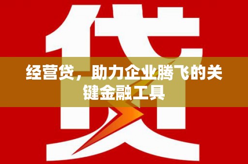 塔什库尔干塔吉克经营贷，助力企业腾飞的关键金融工具
