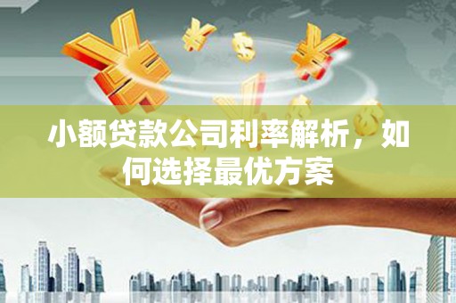 塔什库尔干塔吉克小额贷款公司利率解析，如何选择最优方案
