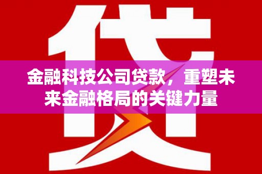 塔什库尔干塔吉克金融科技公司贷款，重塑未来金融格局的关键力量
