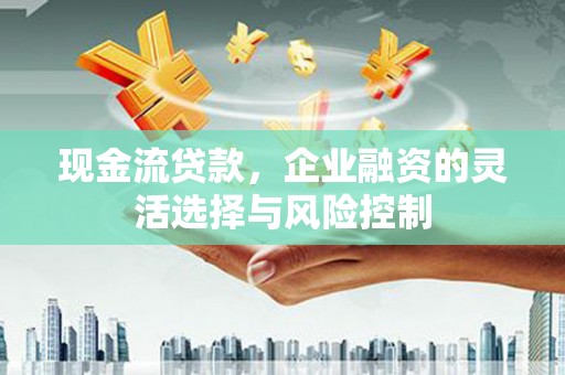 塔什库尔干塔吉克现金流贷款，企业融资的灵活选择与风险控制