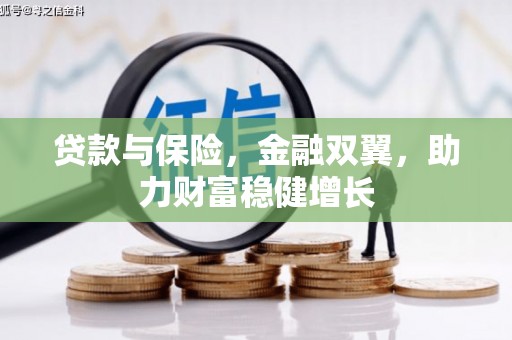 塔什库尔干塔吉克贷款与保险，金融双翼，助力财富稳健增长