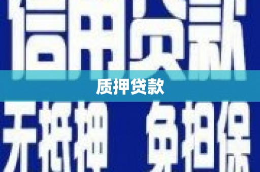 塔什库尔干塔吉克质押贷款