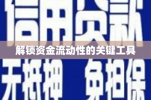 塔什库尔干塔吉克解锁资金流动性的关键工具
