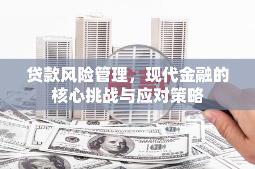 塔什库尔干塔吉克贷款风险管理，现代金融的核心挑战与应对策略