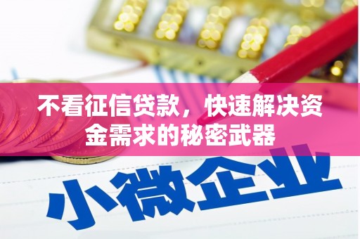塔什库尔干塔吉克不看征信贷款，快速解决资金需求的秘密武器