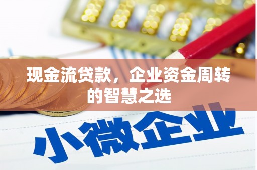 塔什库尔干塔吉克现金流贷款，企业资金周转的智慧之选