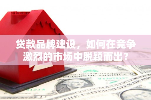 塔什库尔干塔吉克贷款品牌建设，如何在竞争激烈的市场中脱颖而出？