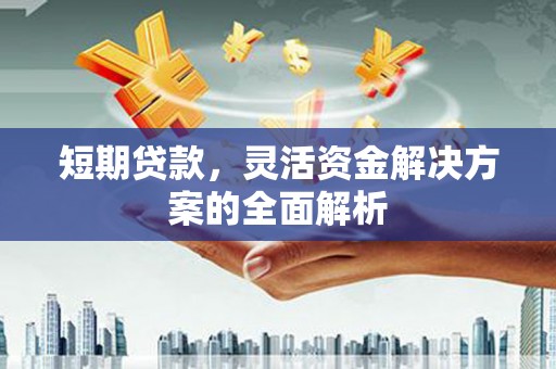 塔什库尔干塔吉克短期贷款，灵活资金解决方案的全面解析