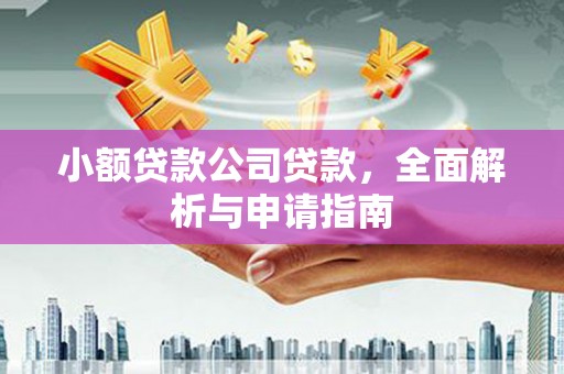 塔什库尔干塔吉克小额贷款公司贷款，全面解析与申请指南