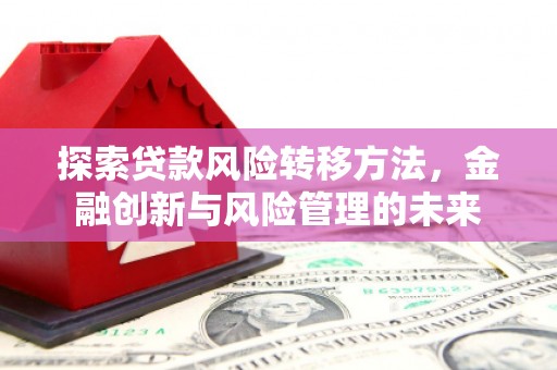 塔什库尔干塔吉克探索贷款风险转移方法，金融创新与风险管理的未来