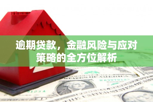 塔什库尔干塔吉克逾期贷款，金融风险与应对策略的全方位解析
