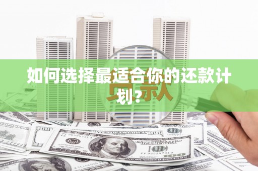 塔什库尔干塔吉克如何选择最适合你的还款计划？