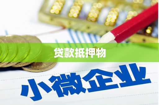 塔什库尔干塔吉克贷款抵押物