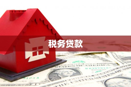 塔什库尔干塔吉克税务贷款