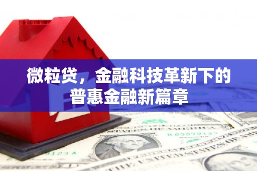塔什库尔干塔吉克微粒贷，金融科技革新下的普惠金融新篇章