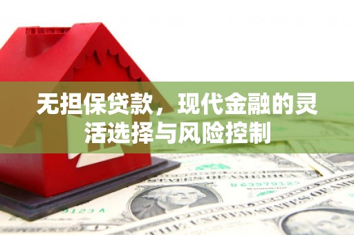 塔什库尔干塔吉克无担保贷款，现代金融的灵活选择与风险控制