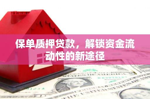 塔什库尔干塔吉克保单质押贷款，解锁资金流动性的新途径