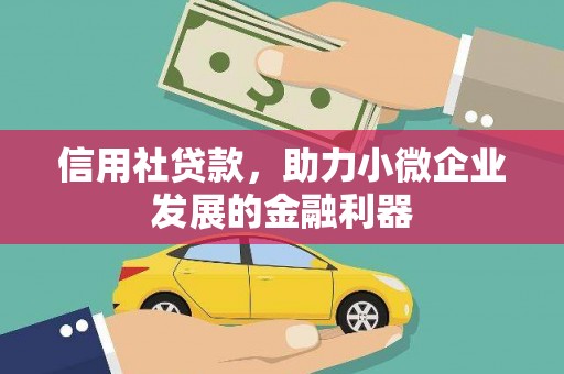 塔什库尔干塔吉克信用社贷款，助力小微企业发展的金融利器