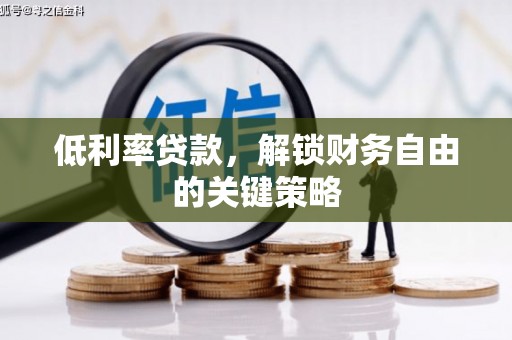 塔什库尔干塔吉克低利率贷款，解锁财务自由的关键策略