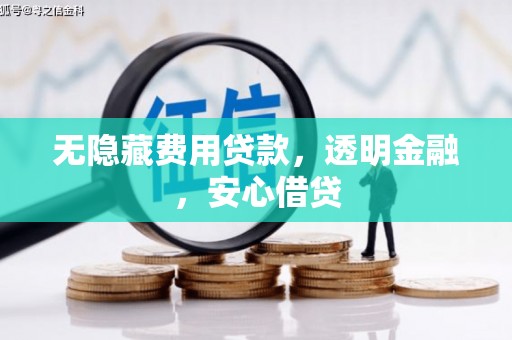 塔什库尔干塔吉克无隐藏费用贷款，透明金融，安心借贷