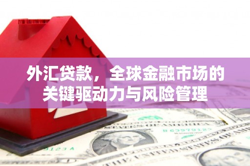 塔什库尔干塔吉克外汇贷款，全球金融市场的关键驱动力与风险管理