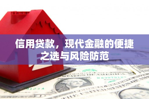 塔什库尔干塔吉克信用贷款，现代金融的便捷之选与风险防范