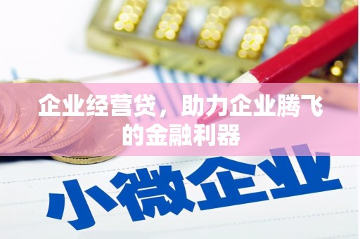 塔什库尔干塔吉克企业经营贷，助力企业腾飞的金融利器