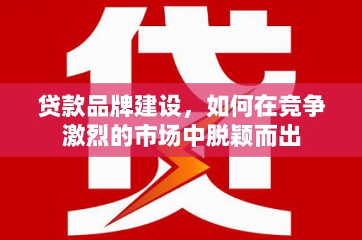塔什库尔干塔吉克贷款品牌建设，如何在竞争激烈的市场中脱颖而出