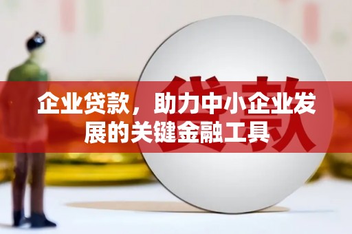 塔什库尔干塔吉克企业贷款，助力中小企业发展的关键金融工具