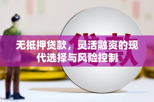 塔什库尔干塔吉克无抵押贷款，灵活融资的现代选择与风险控制