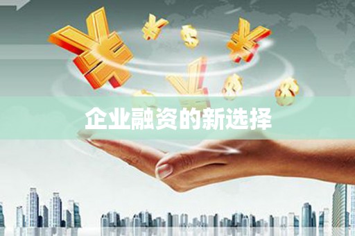 塔什库尔干塔吉克企业融资的新选择