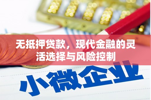 塔什库尔干塔吉克无抵押贷款，现代金融的灵活选择与风险控制