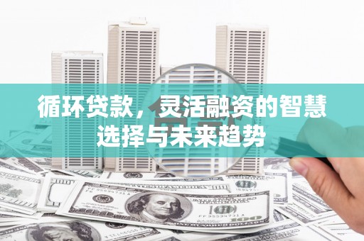 塔什库尔干塔吉克循环贷款，灵活融资的智慧选择与未来趋势