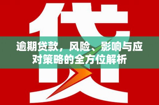 塔什库尔干塔吉克逾期贷款，风险、影响与应对策略的全方位解析