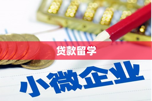 塔什库尔干塔吉克贷款留学