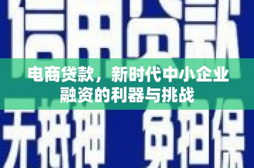 塔什库尔干塔吉克电商贷款，新时代中小企业融资的利器与挑战