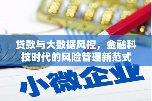 塔什库尔干塔吉克贷款与大数据风控，金融科技时代的风险管理新范式
