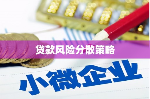 塔什库尔干塔吉克贷款风险分散策略
