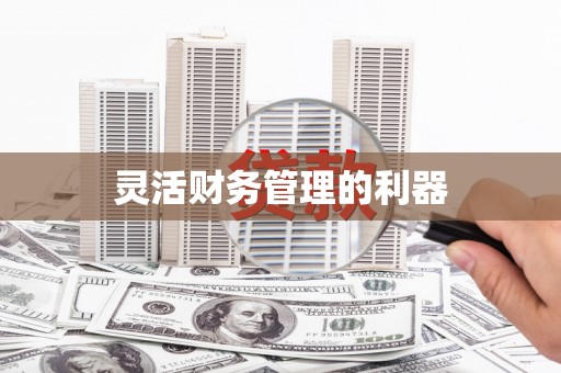 塔什库尔干塔吉克灵活财务管理的利器