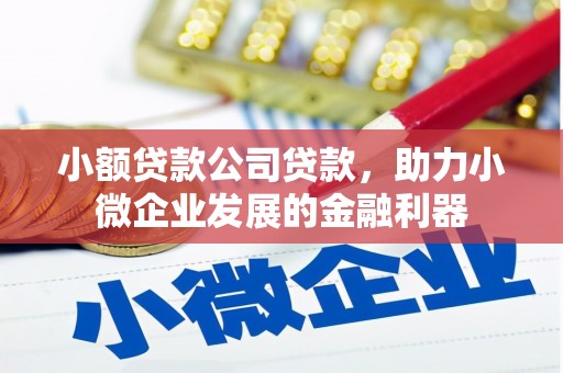 塔什库尔干塔吉克小额贷款公司贷款，助力小微企业发展的金融利器